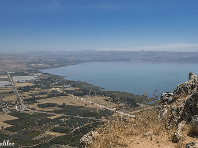 Was The Land Covenant&nbsp;Conditional?