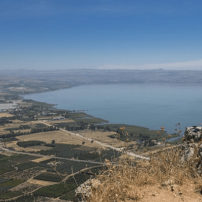 Was The Land Covenant&nbsp;Conditional?