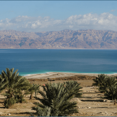 Was The Land Covenant&nbsp;Conditional?