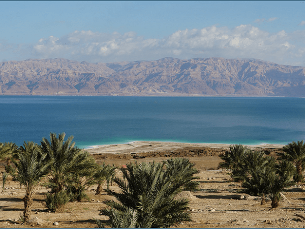 Was The Land Covenant&nbsp;Conditional?